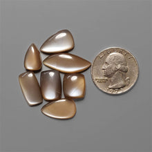AAA Grey Moonstone Cabochons Lot