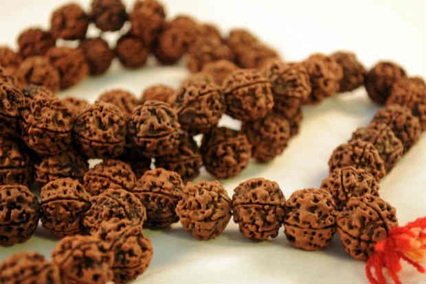 Understanding Rudraksh Beads: A Complete Guide for Beginners and Enthu