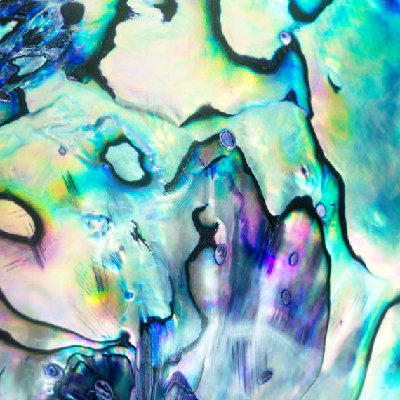 Buy Finest collection of Abalone Shell Gemstone in USA by Lapidary Artist