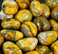 Explore The Beauty Of Bumble Bee Jasper By Lapidary Artist
