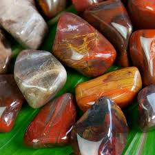 Petrified Wood