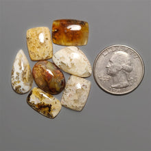 Northridge Plume Agates Lot