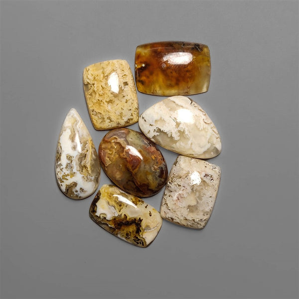 Northridge Plume Agates Lot