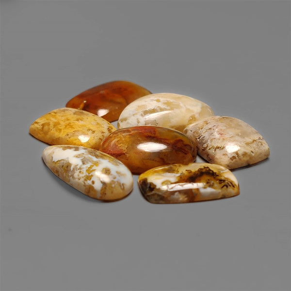 Northridge Plume Agates Lot
