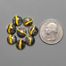 Bumble Bee Jasper Eclipse Stone Rounds Lot