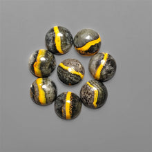 Bumble Bee Jasper Eclipse Stone Rounds Lot