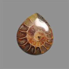 Ammonite Fossil Cabochon-4884 | Gemstone for sale