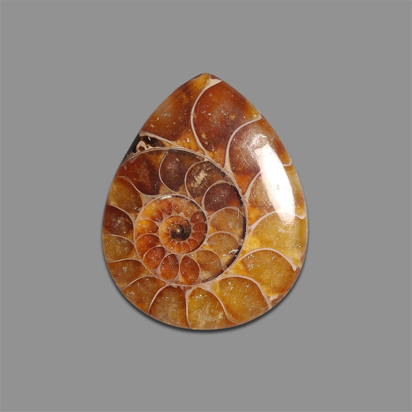Ammonite Fossil Cabochon-4885 | Gemstone for sale