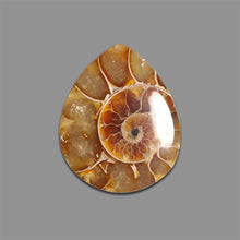 Ammonite Fossil Cabochon-4886 | Gemstone for sale