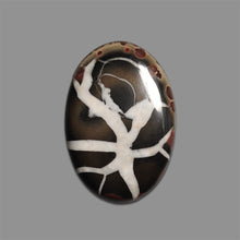 Black Septarian Cabochon-4887 | Gemstone for sale