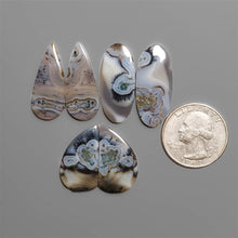 Gray Dendritic Agate Pairs Lot