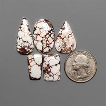 Wild Horse Magnesite Cabochons Lot