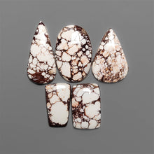 Wild Horse Magnesite Cabochons Lot