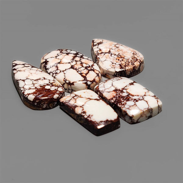 Wild Horse Magnesite Cabochons Lot