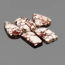 Wild Horse Magnesite Cabochons Lot
