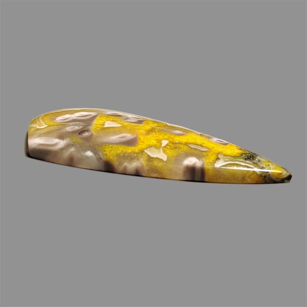 Bumble Bee Jasper Cabochon