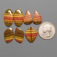 Bloodstone Unique Patter Pair Cabochons Lot