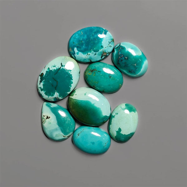 Nevada Turquoise Lot