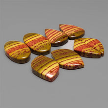 Bloodstone Unique Patter Pair Cabochons Lot