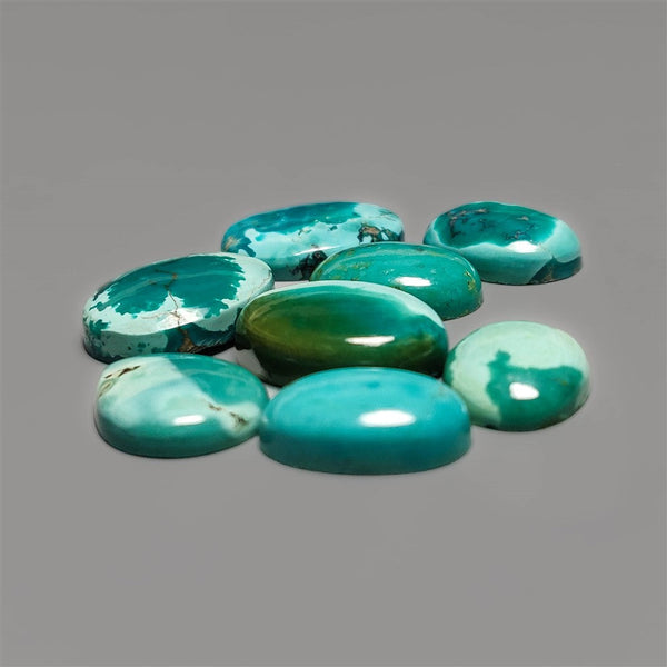 Nevada Turquoise Lot