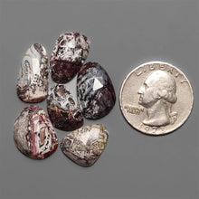 Rose Cut Crazy Lace Agates Lot