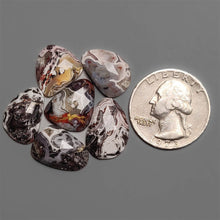 Rose Cut Crazy Lace Agates Lot