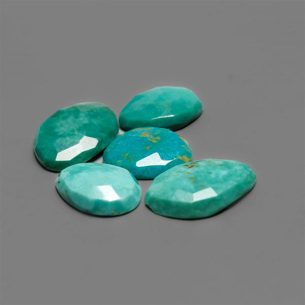Rose Cut Arizona Turquoise Lot