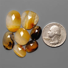 Rose Cut Montana Agate Lot