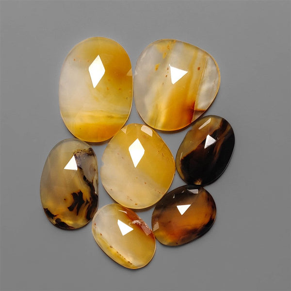 Rose Cut Montana Agate Lot