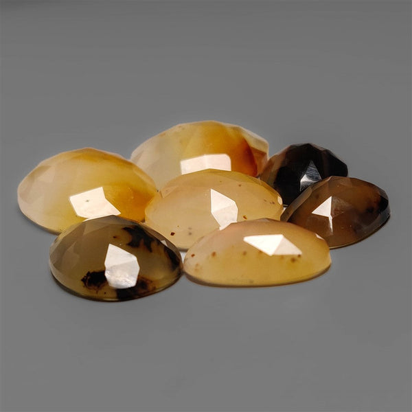 Rose Cut Montana Agate Lot