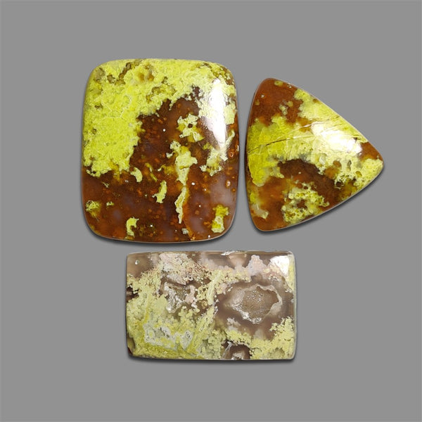 Green Opalised Wood-4931 | Gemstone for sale