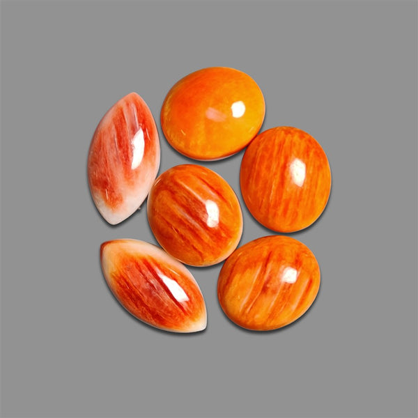 Spiny Oyster Shell Cabochons Lot-4934 | Gemstone for sale