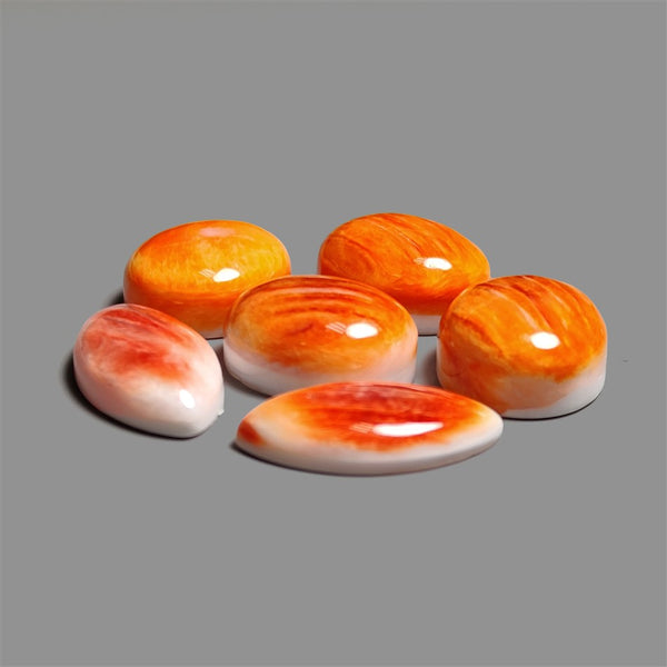 Spiny Oyster Shell Cabochons Lot