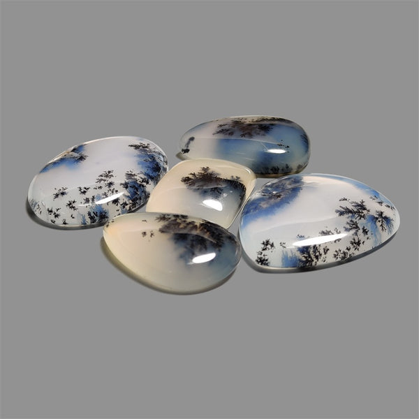 Scenic Dendritic Opal Cabochons Lot