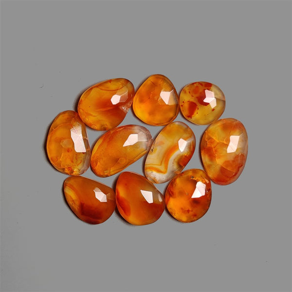 Rose Cut Montana Agates Lot-4857 | Gemstone for sale