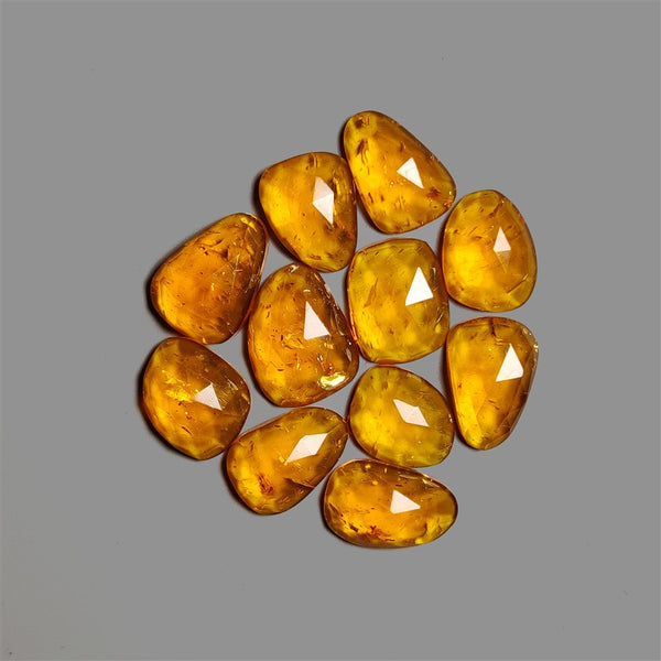 Rose Cut Ambers Lot-4848 | Gemstone for sale