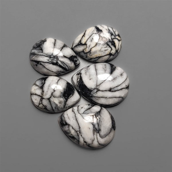 Pinolith Cabochons Lot