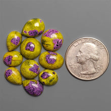 Atlantisite Cabochons Lot(Stitchtite In Serpentine)