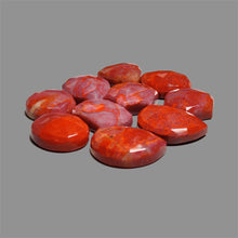Rose Cut Arizona Petrified Wood Lot