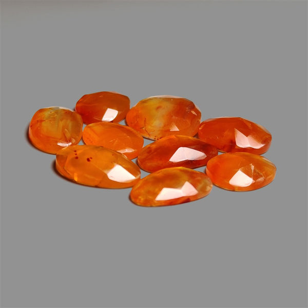 Rose Cut Montana Agates Lot