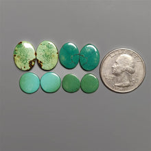 Hubei Turquoise Pair