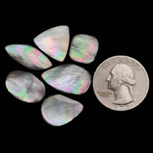 Rainbow Tahitian Mother Of Pearl Cabochons Lot
