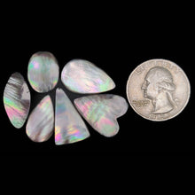 Rainbow Tahitian Mother Of Pearl Cabochons Lot