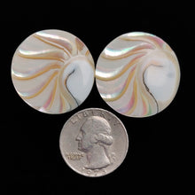 Natural Mabe Pearl Shells Lot