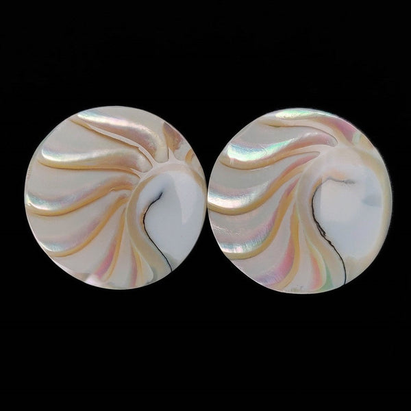 Natural Mabe Pearl Shells Lot