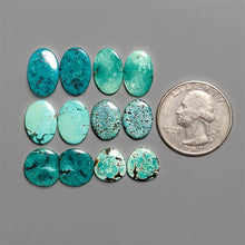 Hubei Turquoise Pair