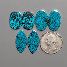 Hubei Turquoise Pair