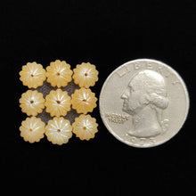 Freshwater Pearl Beads Lot