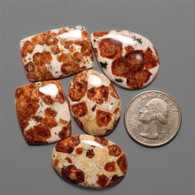 Garnet In Limestone Cabochons Lot