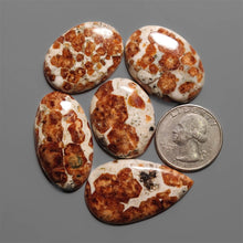 Garnet In Limestone Cabochons Lot